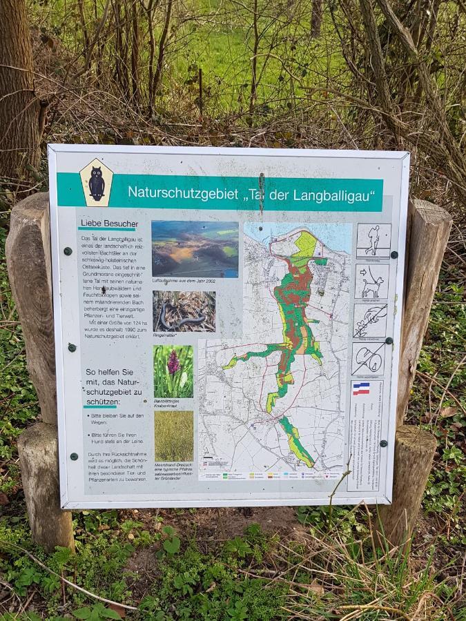 Natur Lodge Haffblick Westerholz Exteriör bild